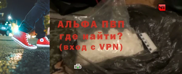 дживик Арсеньев