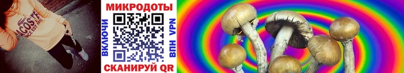 Купить закладки  Севск  Псилоцибиновые грибы ЛСД 